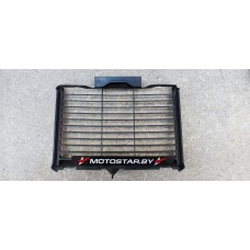 Защита радиатора