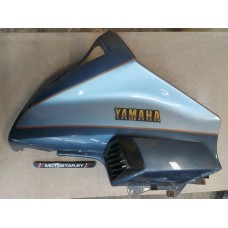 Элемент пластика передний