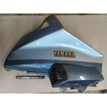 Элемент пластика передний