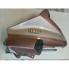 Элемент пластика передний